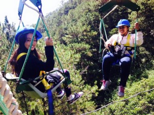 Tree Top Adventure